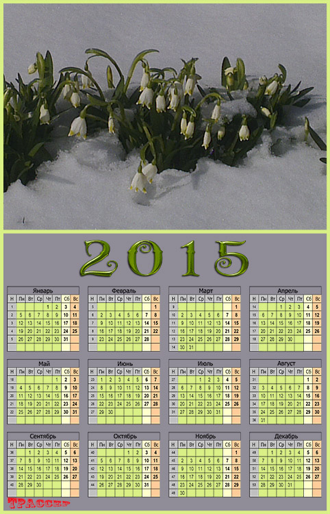 Календарь на 2015 год - Подснежник, Снегурочкины слезы